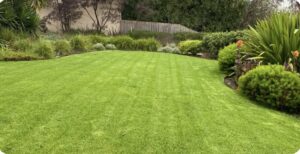 Lawn Mowing Lilydale